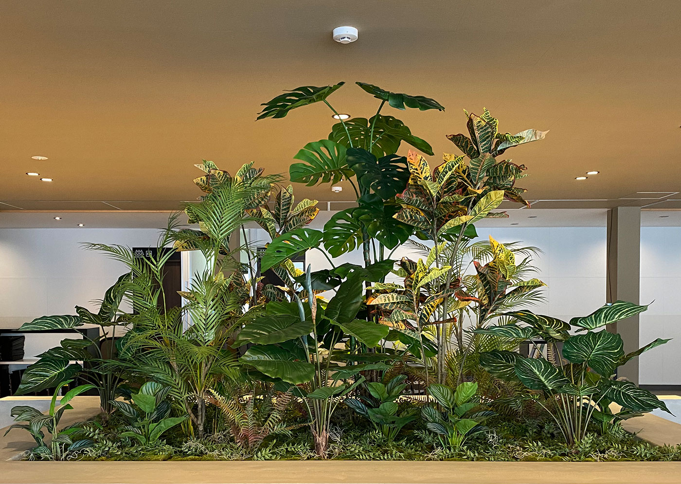 開業用植栽