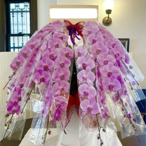 御祝　胡蝶蘭10本立ち150輪（注文対応）